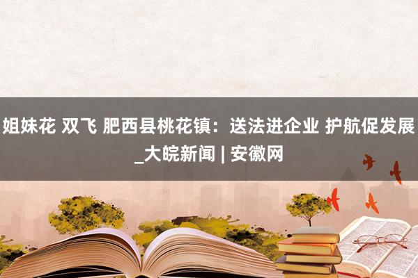 姐妹花 双飞 肥西县桃花镇：送法进企业 护航促发展_大皖新闻 | 安徽网