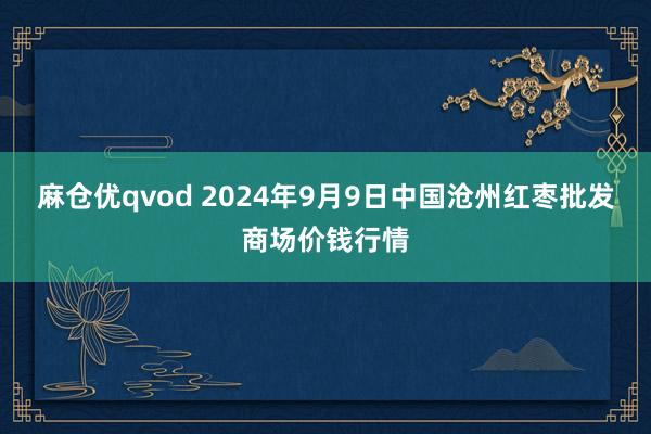 麻仓优qvod 2024年9月9日中国沧州红枣批发商场价钱行情