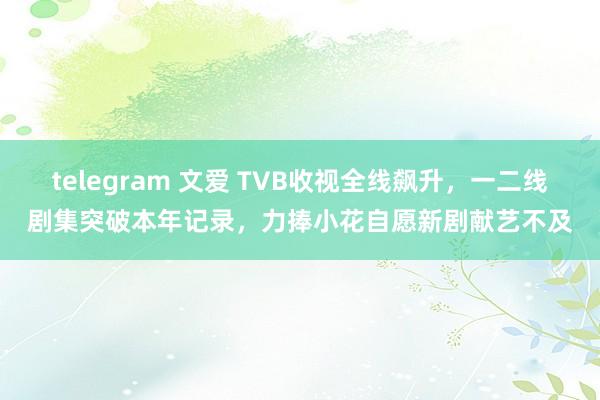 telegram 文爱 TVB收视全线飙升，一二线剧集突破本年记录，力捧小花自愿新剧献艺不及