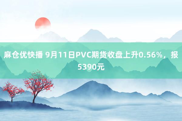 麻仓优快播 9月11日PVC期货收盘上升0.56%，报5390元