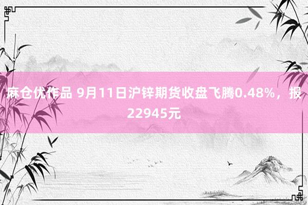 麻仓优作品 9月11日沪锌期货收盘飞腾0.48%，报22945元