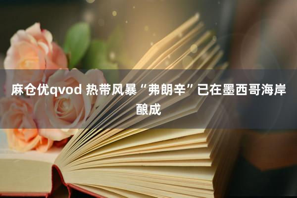 麻仓优qvod 热带风暴“弗朗辛”已在墨西哥海岸酿成