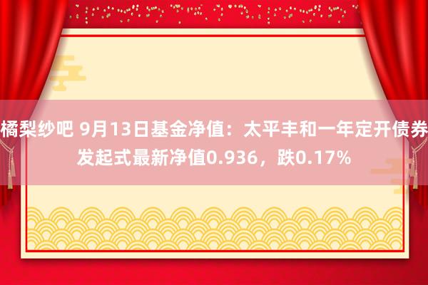 橘梨纱吧 9月13日基金净值：太平丰和一年定开债券发起式最新净值0.936，跌0.17%