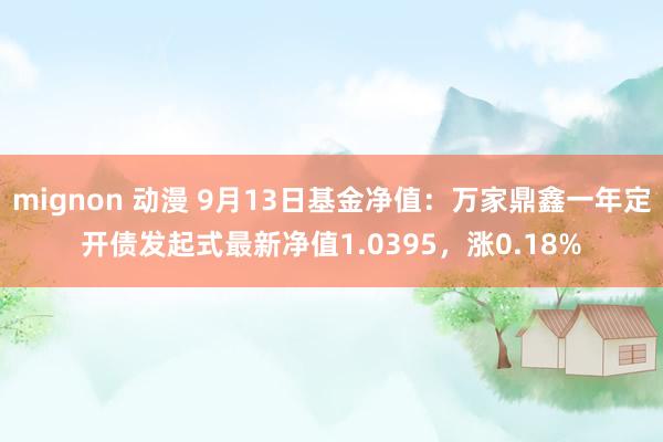 mignon 动漫 9月13日基金净值：万家鼎鑫一年定开债发起式最新净值1.0395，涨0.18%