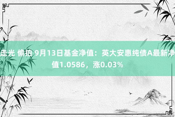 走光 偷拍 9月13日基金净值：英大安惠纯债A最新净值1.0586，涨0.03%