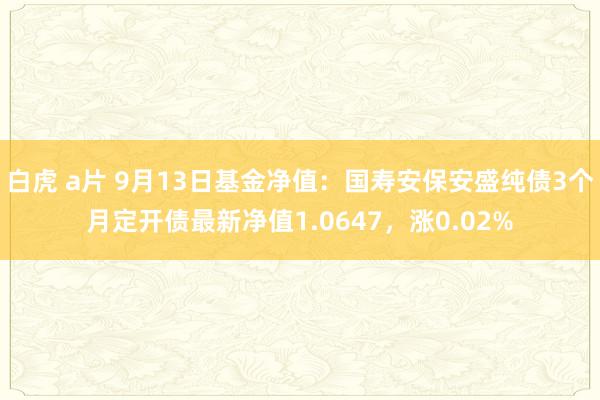 白虎 a片 9月13日基金净值：国寿安保安盛纯债3个月定开债最新净值1.0647，涨0.02%