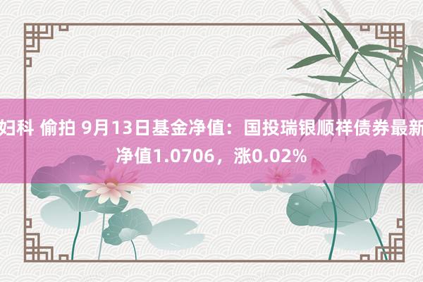 妇科 偷拍 9月13日基金净值：国投瑞银顺祥债券最新净值1.0706，涨0.02%