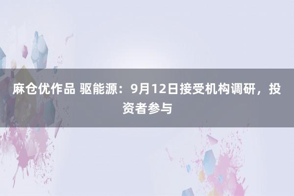 麻仓优作品 驱能源：9月12日接受机构调研，投资者参与