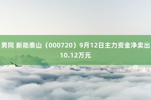 男同 新能泰山（000720）9月12日主力资金净卖出10.12万元