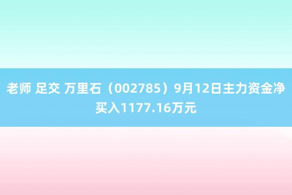 老师 足交 万里石（002785）9月12日主力资金净买入1177.16万元