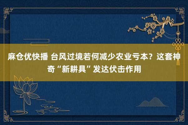 麻仓优快播 台风过境若何减少农业亏本？这套神奇“新耕具”发达伏击作用