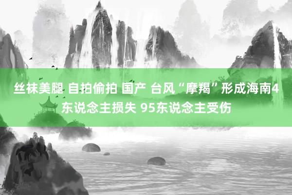 丝袜美腿 自拍偷拍 国产 台风“摩羯”形成海南4东说念主损失 95东说念主受伤