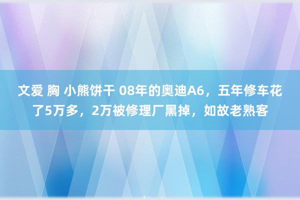 文爱 胸 小熊饼干 08年的奥迪A6，五年修车花了5万多，2万被修理厂黑掉，如故老熟客