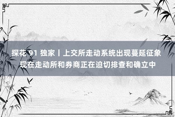 探花 91 独家丨上交所走动系统出现蔓延征象 现在走动所和券商正在迫切排查和确立中