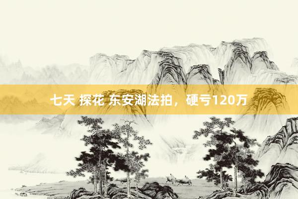 七天 探花 东安湖法拍，硬亏120万