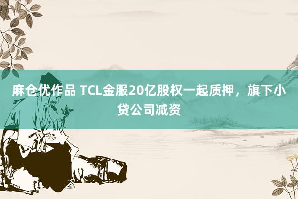 麻仓优作品 TCL金服20亿股权一起质押，旗下小贷公司减资