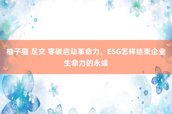 柚子猫 足交 零碳启动革命力，ESG怎样结束企业生命力的永续