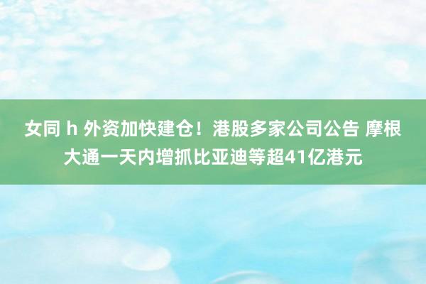 女同 h 外资加快建仓！港股多家公司公告 摩根大通一天内增抓比亚迪等超41亿港元