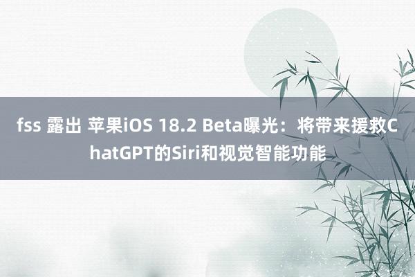 fss 露出 苹果iOS 18.2 Beta曝光：将带来援救ChatGPT的Siri和视觉智能功能