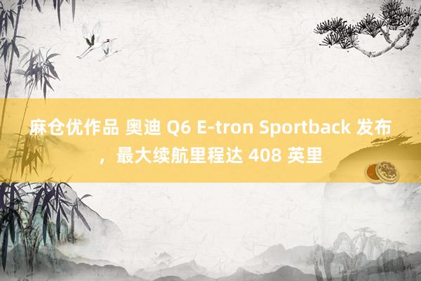 麻仓优作品 奥迪 Q6 E-tron Sportback 发布，最大续航里程达 408 英里