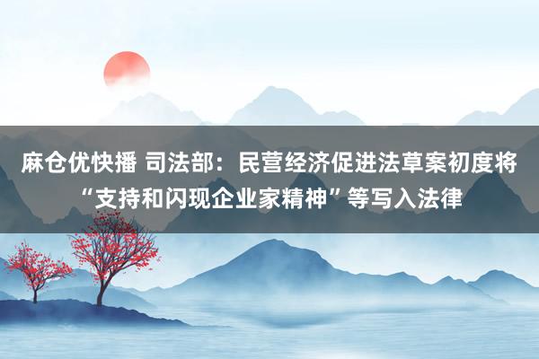 麻仓优快播 司法部：民营经济促进法草案初度将“支持和闪现企业家精神”等写入法律