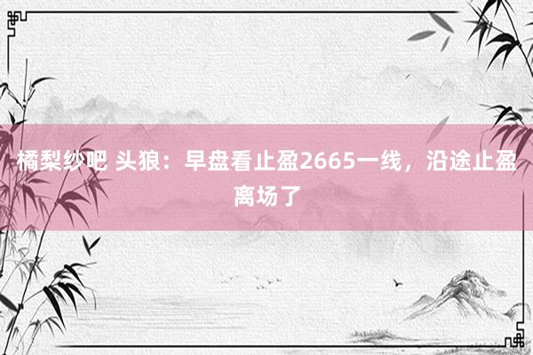 橘梨纱吧 头狼：早盘看止盈2665一线，沿途止盈离场了