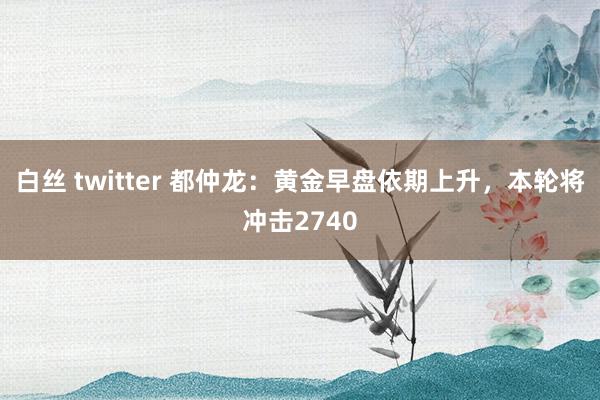 白丝 twitter 都仲龙：黄金早盘依期上升，本轮将冲击2740