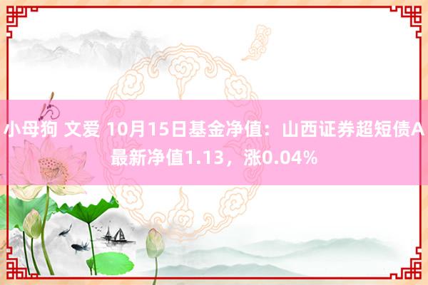 小母狗 文爱 10月15日基金净值：山西证券超短债A最新净值1.13，涨0.04%