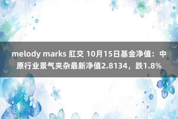 melody marks 肛交 10月15日基金净值：中原行业景气夹杂最新净值2.8134，跌1.8%