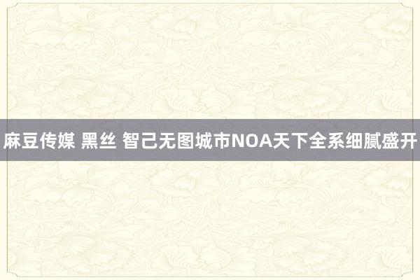 麻豆传媒 黑丝 智己无图城市NOA天下全系细腻盛开