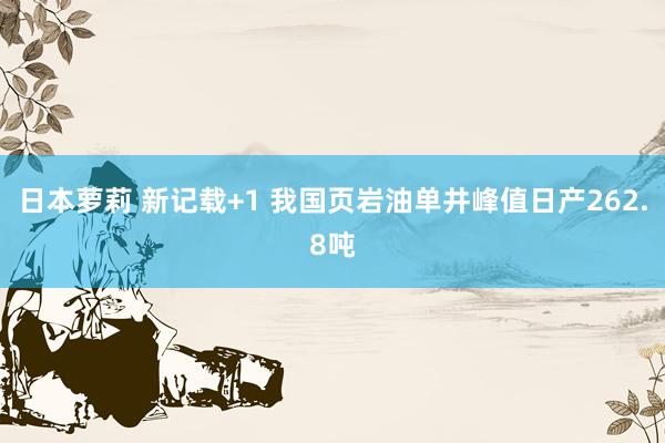 日本萝莉 新记载+1 我国页岩油单井峰值日产262.8吨