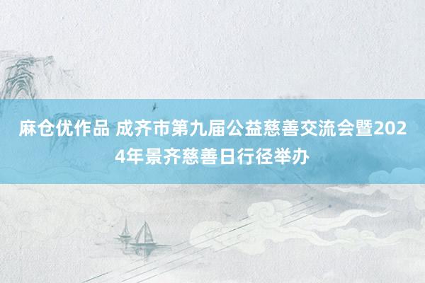 麻仓优作品 成齐市第九届公益慈善交流会暨2024年景齐慈善日行径举办