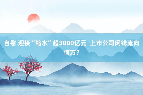 自慰 迎接“缩水”超3000亿元  上市公司闲钱流向何方？