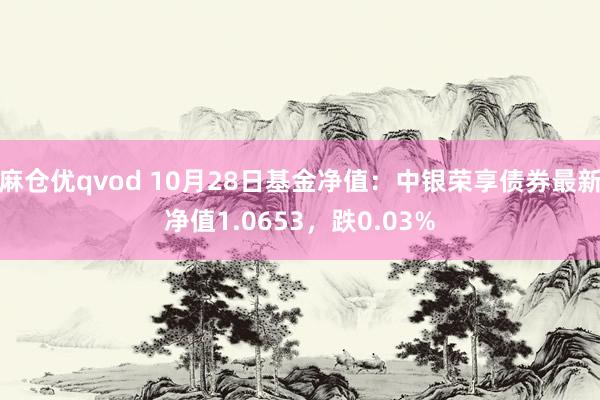 麻仓优qvod 10月28日基金净值：中银荣享债券最新净值1.0653，跌0.03%