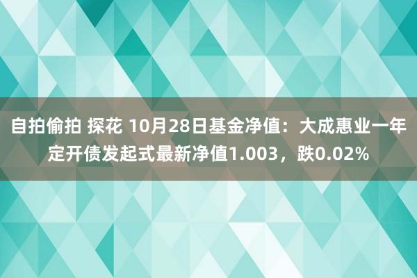 自拍偷拍 探花 10月28日基金净值：大成惠业一年定开债发起式最新净值1.003，跌0.02%