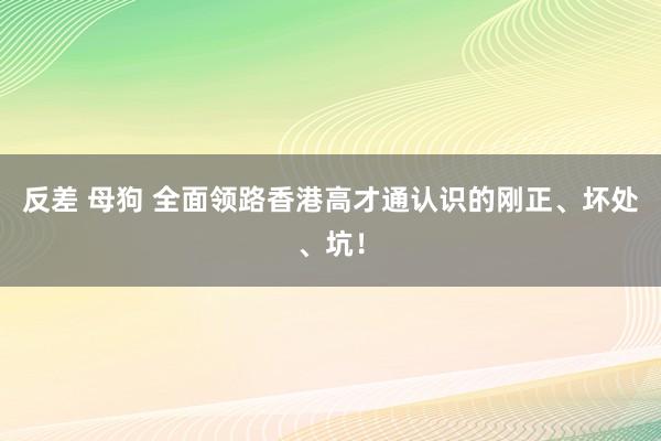 反差 母狗 全面领路香港高才通认识的刚正、坏处、坑！