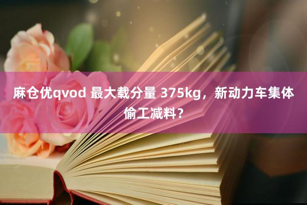 麻仓优qvod 最大载分量 375kg，新动力车集体偷工减料？