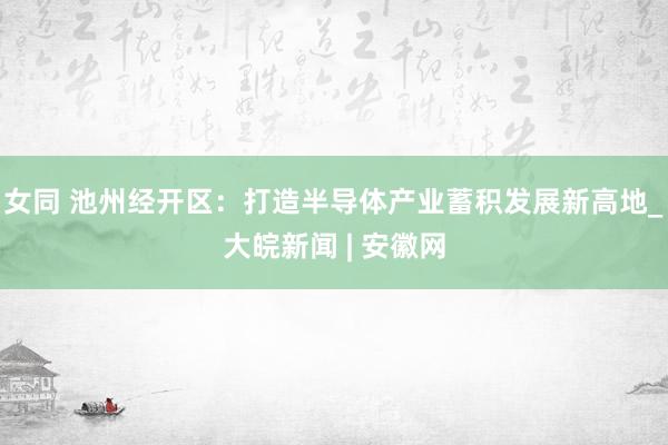 女同 池州经开区：打造半导体产业蓄积发展新高地_大皖新闻 | 安徽网