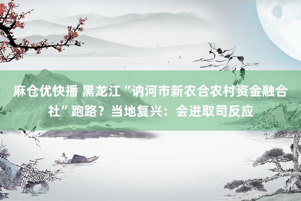 麻仓优快播 黑龙江“讷河市新农合农村资金融合社”跑路？当地复兴：会进取司反应