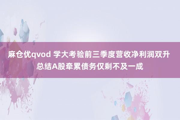 麻仓优qvod 学大考验前三季度营收净利润双升 总结A股牵累债务仅剩不及一成