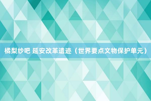 橘梨纱吧 延安改革遗迹（世界要点文物保护单元）