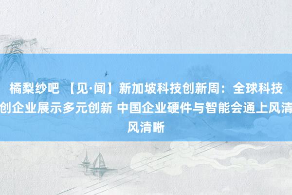 橘梨纱吧 【见·闻】新加坡科技创新周：全球科技初创企业展示多元创新 中国企业硬件与智能会通上风清晰