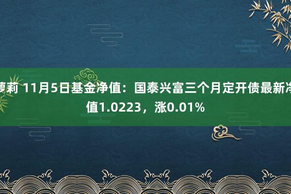 萝莉 11月5日基金净值：国泰兴富三个月定开债最新净值1.0223，涨0.01%