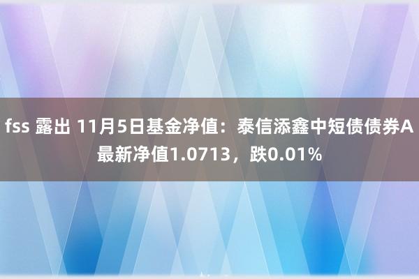 fss 露出 11月5日基金净值：泰信添鑫中短债债券A最新净值1.0713，跌0.01%