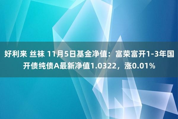 好利来 丝袜 11月5日基金净值：富荣富开1-3年国开债纯债A最新净值1.0322，涨0.01%