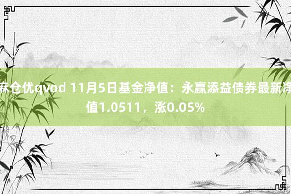 麻仓优qvod 11月5日基金净值：永赢添益债券最新净值1.0511，涨0.05%