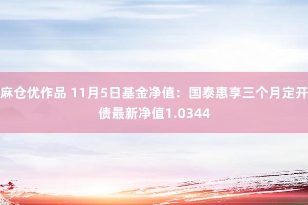 麻仓优作品 11月5日基金净值：国泰惠享三个月定开债最新净值1.0344