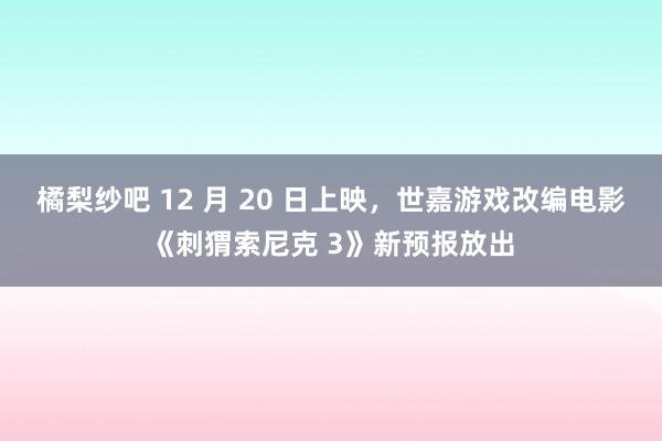 橘梨纱吧 12 月 20 日上映，世嘉游戏改编电影《刺猬索尼克 3》新预报放出