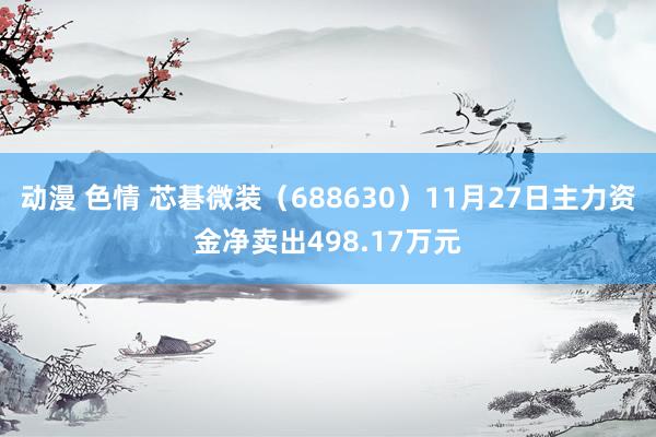 动漫 色情 芯碁微装（688630）11月27日主力资金净卖出498.17万元