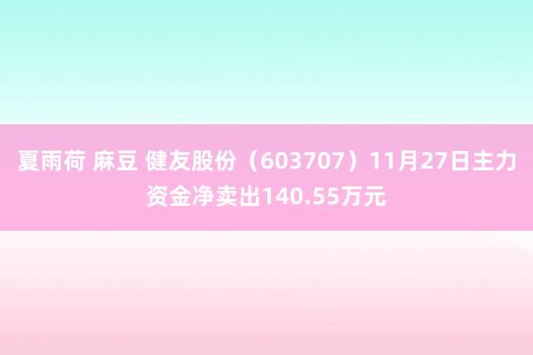 夏雨荷 麻豆 健友股份（603707）11月27日主力资金净卖出140.55万元